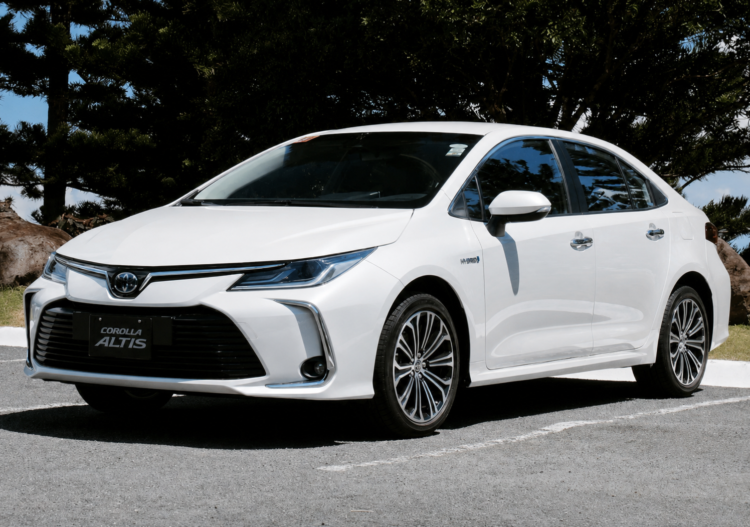Long Term Cars